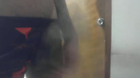 SexyFlacko online show from June 13, 4:20 am