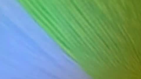 red24devils online show from August 12, 6:43 pm
