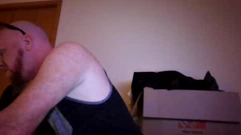 redddaddi online show from July 31, 7:47 am