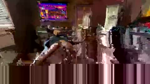 redneck200770 online show from March 22, 10:36 pm
