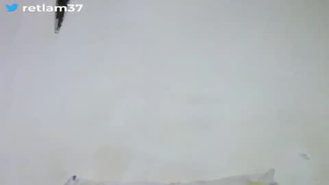 Walter online show from August 12, 7:22 am