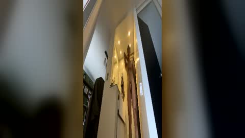 Ricardos room online show from June 19, 4:18 pm