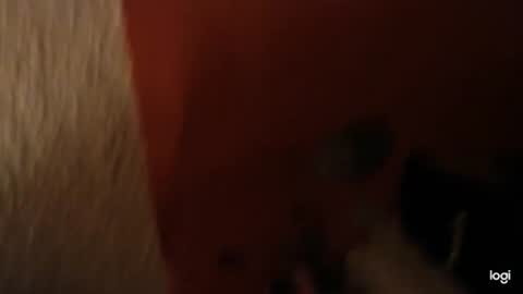 ristopheles online show from July 4, 1:08 am