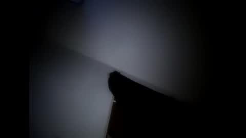 robertsaiz4200 online show from May 24, 9:34 am
