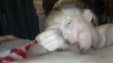 Longrodhotmomma online show from June 6, 7:47 am