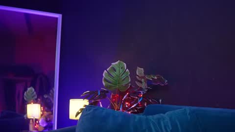 Ruby  online show from August 6, 10:09 pm