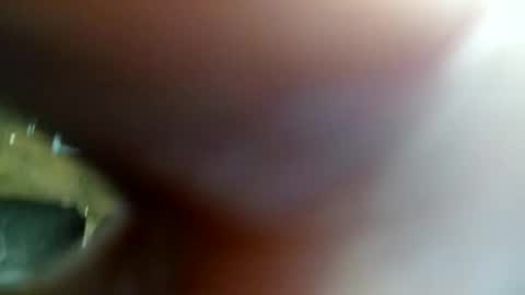 ryan198650 online show from May 20, 12:44 am