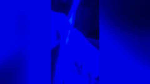 s1nn3r_1 online show from July 19, 5:04 pm