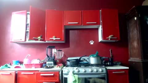 ruby  chocoholic cakeholic coffeeholic cookieholic online show from July 26, 12:37 am