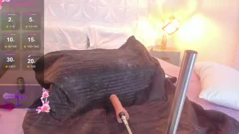 salem_rose01 online show from August 2, 5:58 am