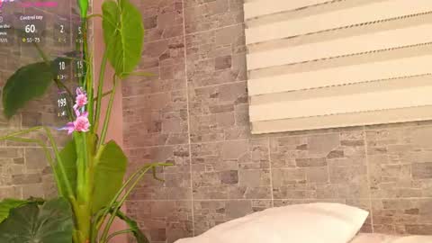 Samantha online show from August 15, 10:52 am