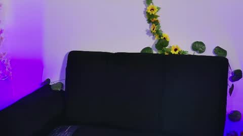 Sammy online show from July 30, 8:10 am