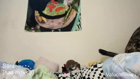 Sara Love online show from August 14, 8:07 am
