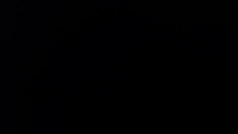 Sara Parker online show from July 27, 2:17 am