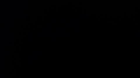 Sara Parker online show from July 27, 3:23 am