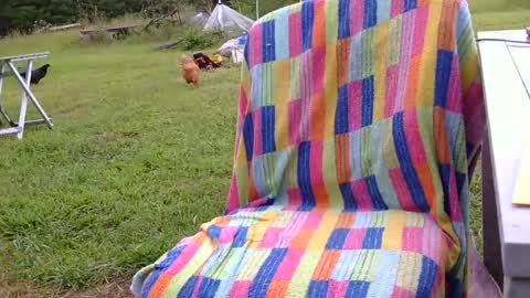CdSissySarah online show from July 31, 11:43 pm