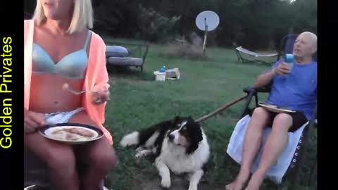 CdSissySarah online show from August 13, 12:46 am