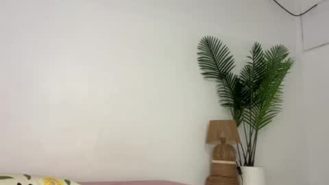 sashi_kaye online show from August 14, 4:16 am