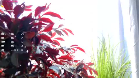 sassyt33n online show from August 15, 8:07 am