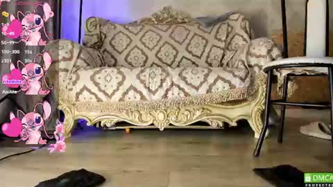 Sayame88 online show from August 14, 5:55 am
