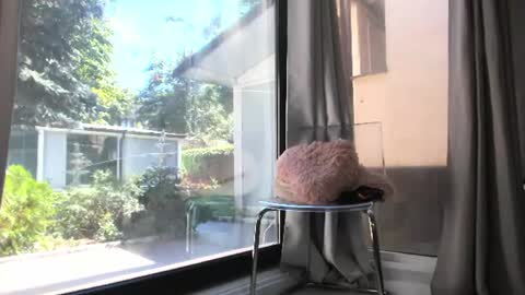 Amira online show from August 15, 9:35 am