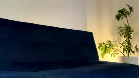 Toy online show from July 26, 1:27 pm