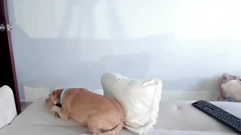 Alejandra  online show from July 30, 6:47 pm