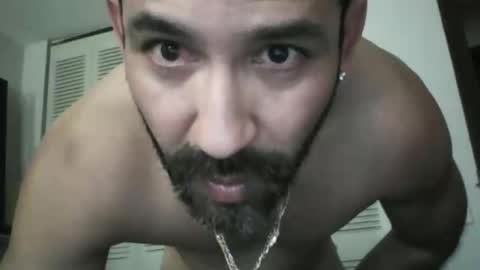 seuus2026 online show from June 11, 2:23 pm