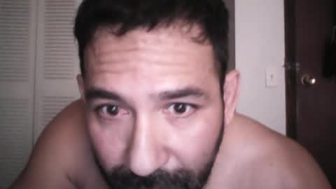 seuus2026 online show from July 30, 2:13 pm