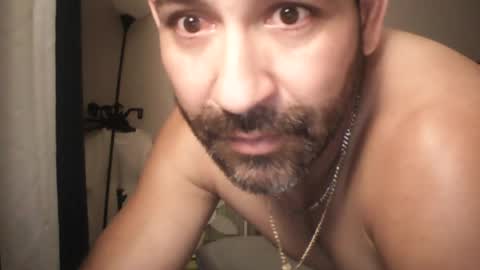 seuus2026 online show from August 13, 2:09 pm