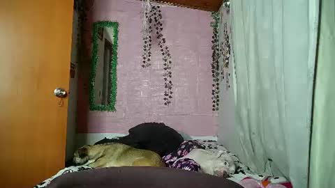 sexy lolas online show from August 12, 2:14 am