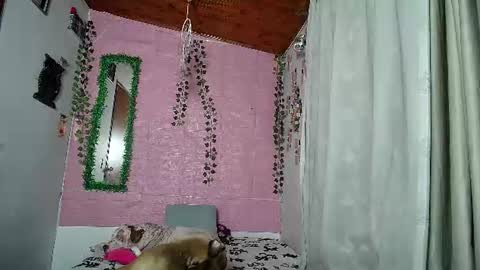 sexy lolas online show from August 13, 2:14 am