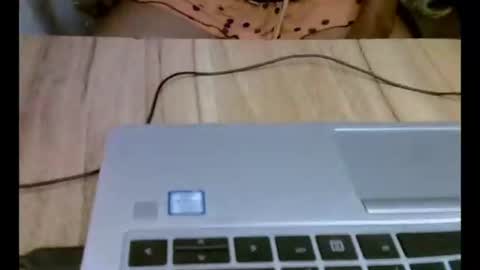annie online show from August 14, 3:43 am