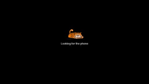 Lyn online show from August 14, 7:01 am