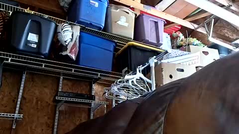 sexy_richy online show from June 30, 9:05 pm