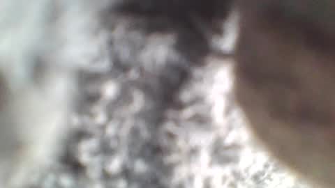 Rita online show from June 24, 2:41 pm