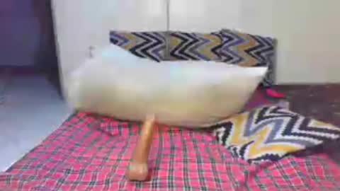 sexychoco2 online show from August 12, 4:04 am