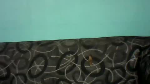 sexytamara16 online show from September 4, 12:09 pm