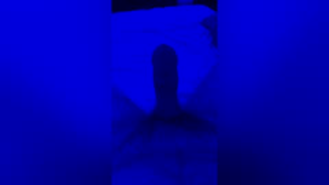sh591012 online show from July 26, 10:42 am