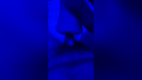 sh591012 online show from July 30, 6:43 am