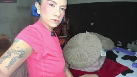 shadia online show from August 11, 8:55 pm