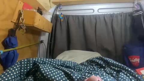 Shaky is as shaky does online show from August 17, 10:09 am