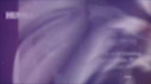 Sharon online show from August 13, 6:49 am