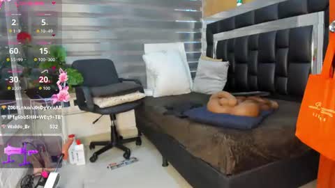 sheyla__ebony online show from August 15, 11:03 am
