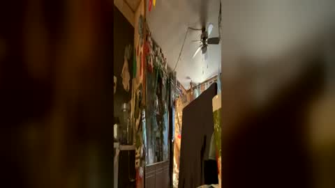 shorty920505 online show from July 5, 2:14 am