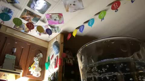 shorty920505 online show from August 15, 7:12 am