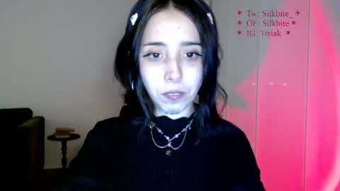 silkbite online show from August 6, 12:31 am