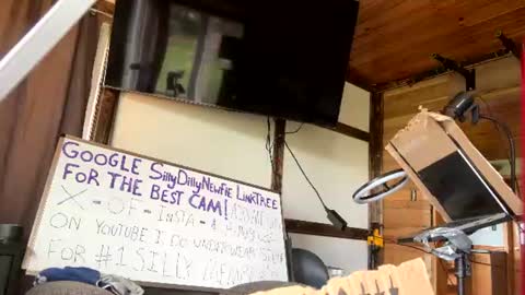 Silly Dilly Newfie online show from August 13, 6:55 pm