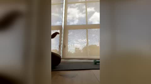 sillyme789888 online show from August 4, 7:33 pm