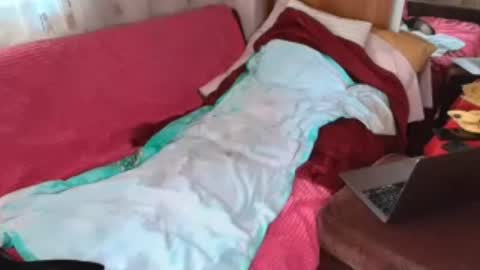 sissy_adelina online show from August 16, 9:46 am